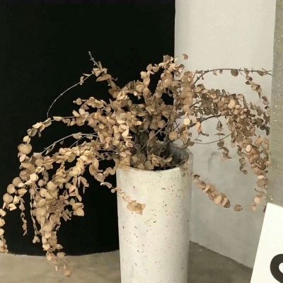 兽设国风设计灵感福瑞群